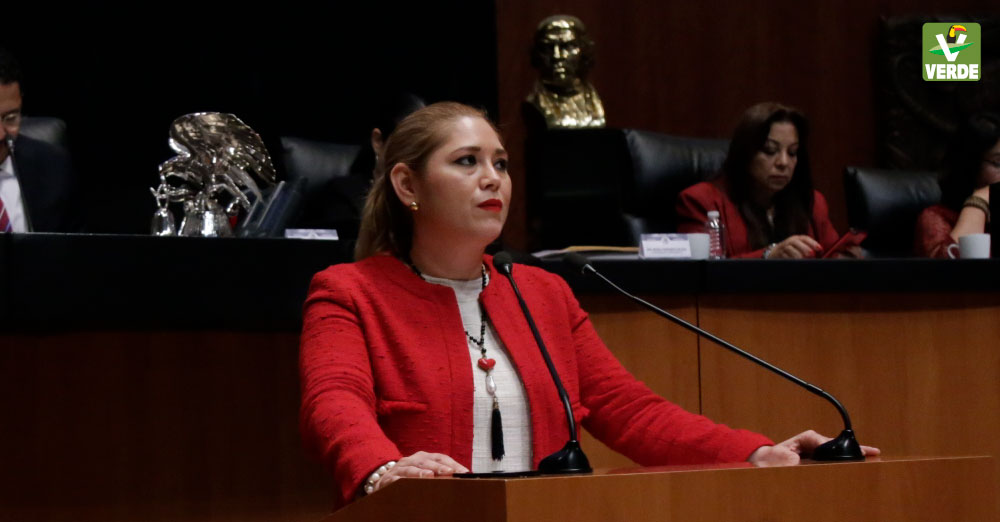 Senadora Veronica Camino