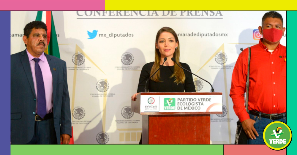 SOLICITAN DIPUTADOS DEL PARTIDO VERDE, PT Y MORENA LIBERAR RECURSOS  FEDERALES PARA APOYAR A DAMNIFICADOS DEL HURACÁN 