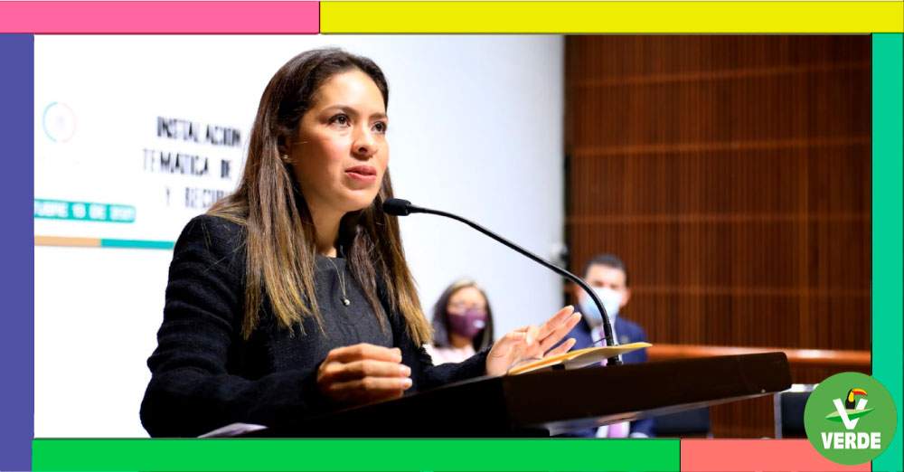 FALTA MUCHO POR HACER PARA GARANTIZAR CALIDAD DE VIDA A NUESTRAS MUJERES MEXICANAS: PARTIDO VERDE