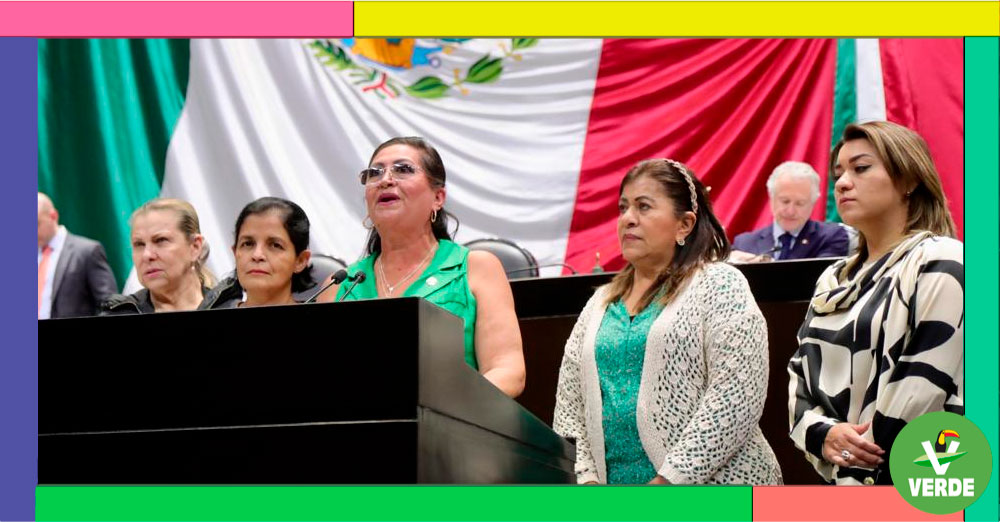GARANTIZAR QUE LAS PERSONAS CON DISCAPACIDAD TENGAN ACCESO AL INSABI, PIDE DIPUTADA DEL PVEM