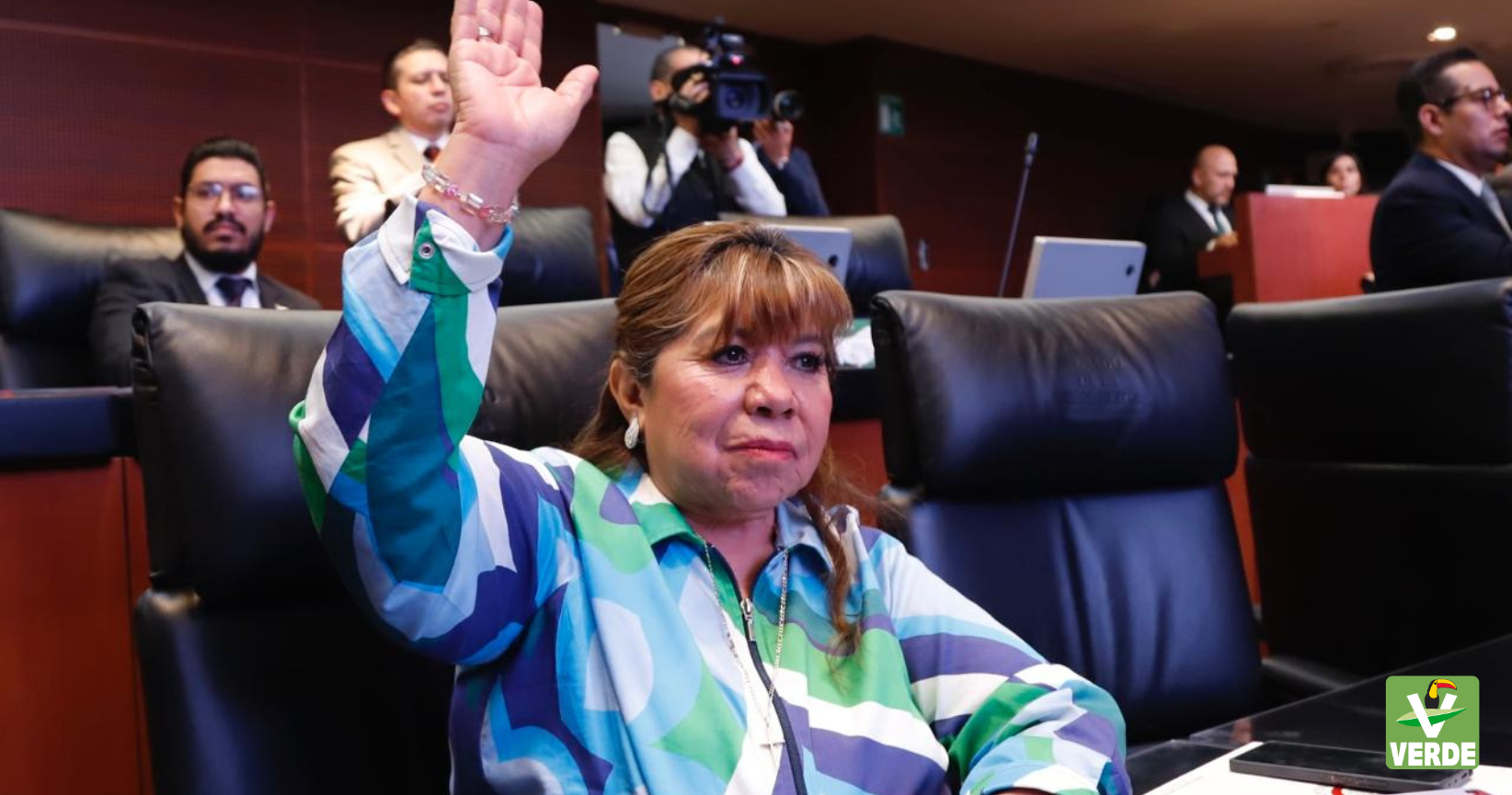 TRATAMIENTOS DE SALUD MENTAL DE CALIDAD Y PARA TODOS,  PIDE LA SENADORA MARÍA GRACIELA GAITÁN  