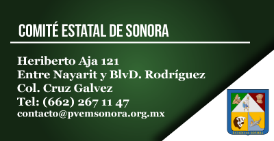 COMITE ESTATAL DE SONORA