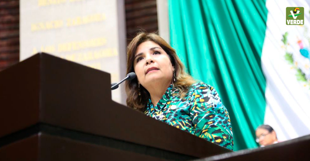 Diputada Bety Manrique