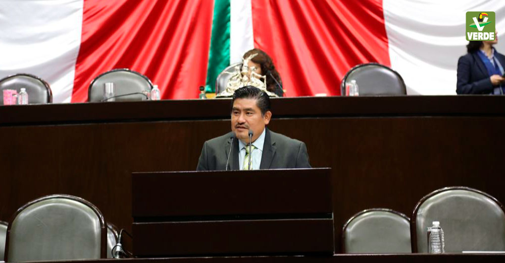 Diputado Rogelio Rayo