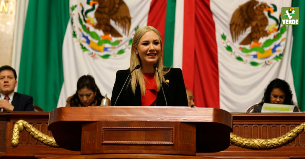 Diputada Teresa Ramos