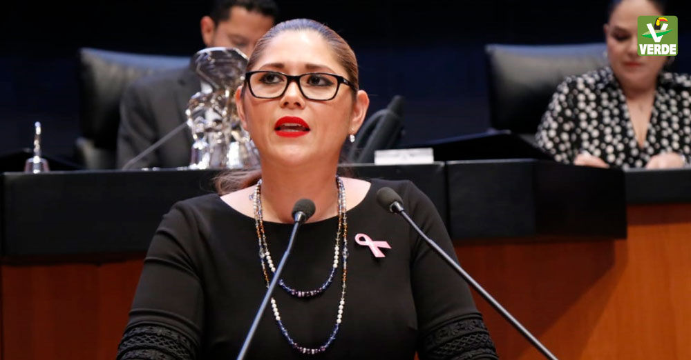 Senadora Veronica Camino Farjat