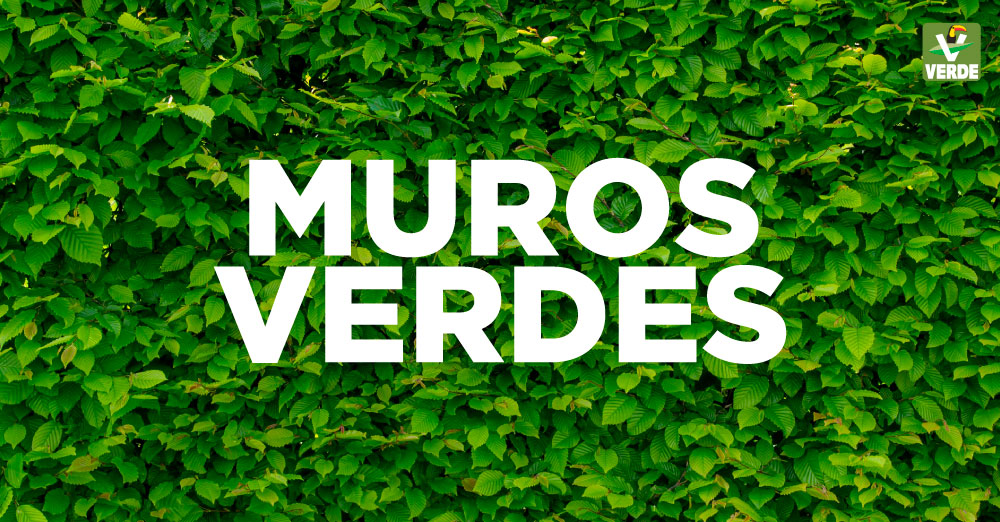  MUROS VERDE, MUROS DE VIDA.