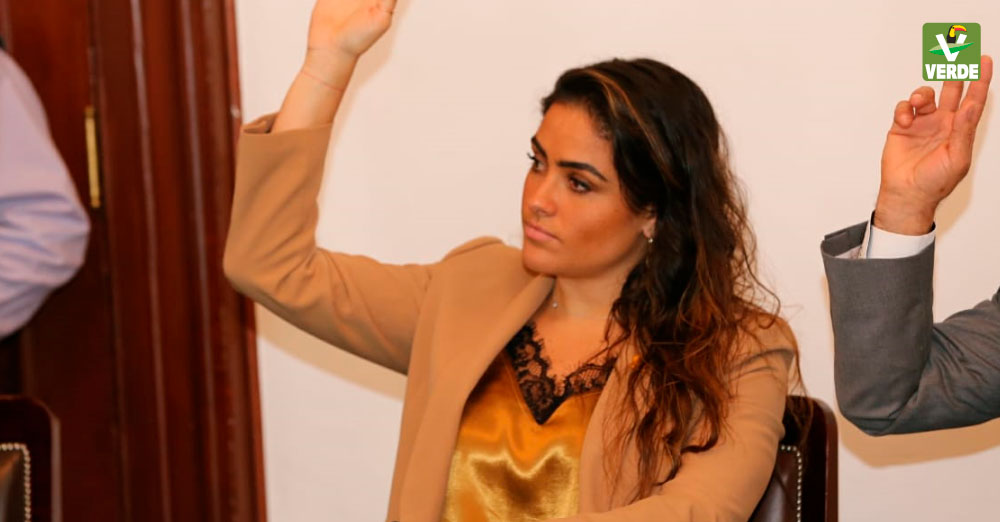 Diputada Alessandra Rojo de la Vega