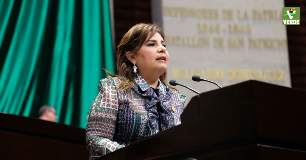 Diputada Beatriz Manrique