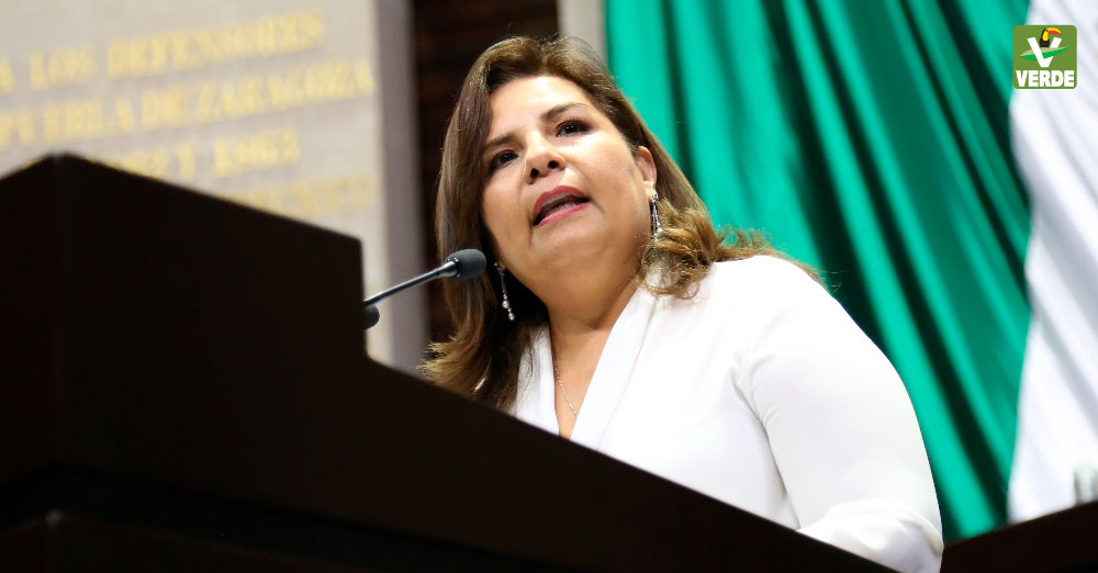 Diputada Beatriz Manrique