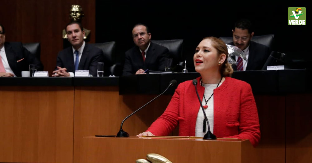 Senadora Veronica Camino Farjat