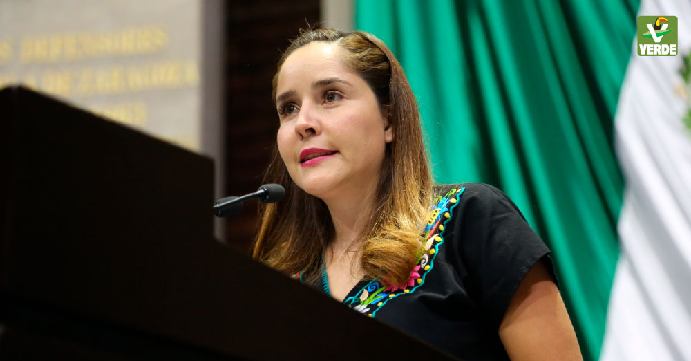 Diputada Leticia Gomez