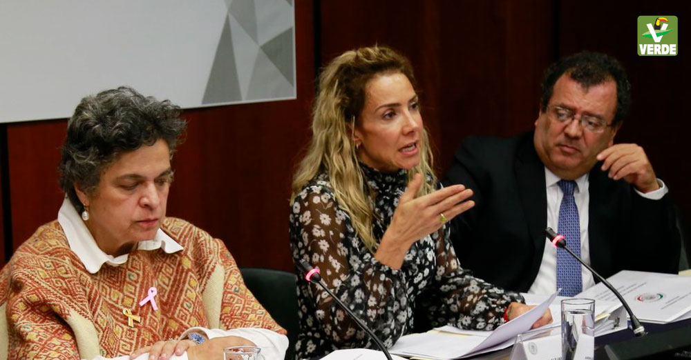 Senadora Alejandra Lagunes