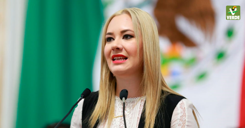 Diputada Teresa Ramos