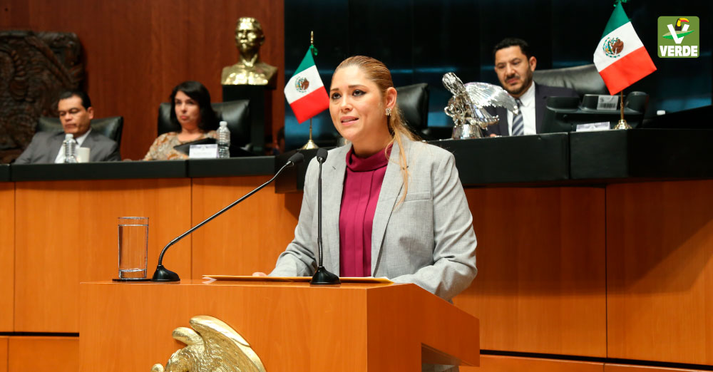 Senadora Veronica Camino Farjat