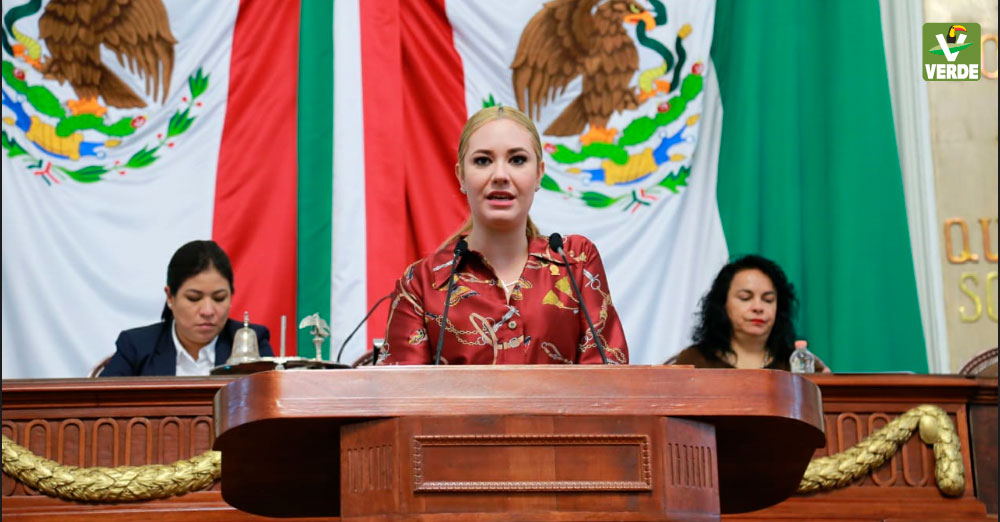 Diputada Teresa Ramos