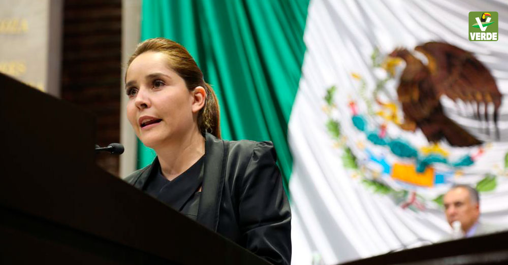 Diputada Leticia Gomez