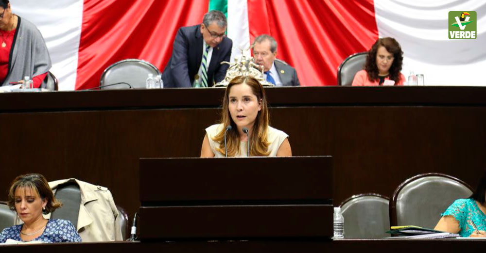 Diputada Leticia Gomez
