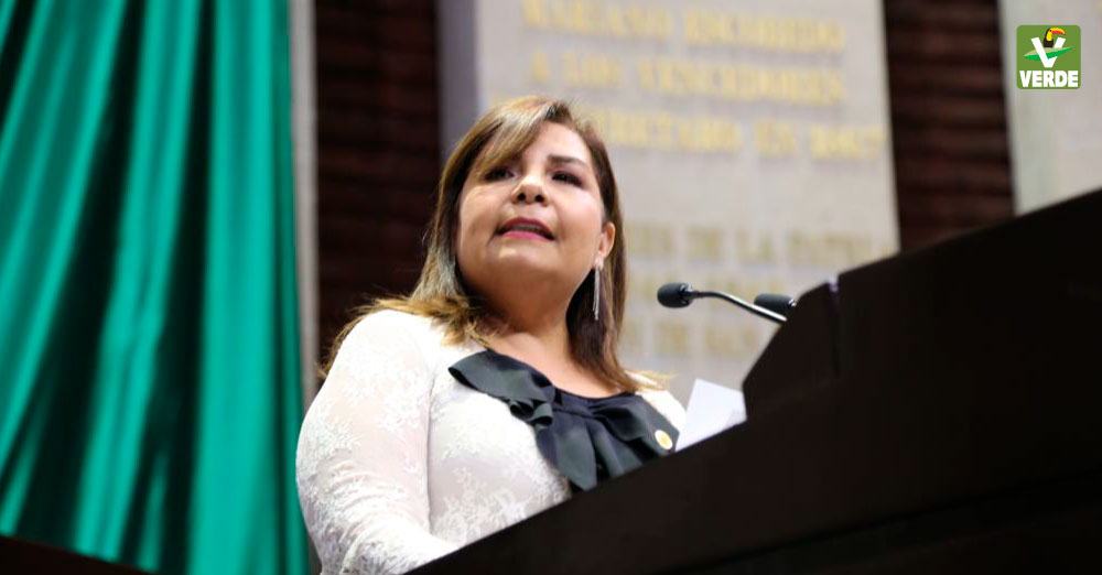 Diputada Beatriz Manrique