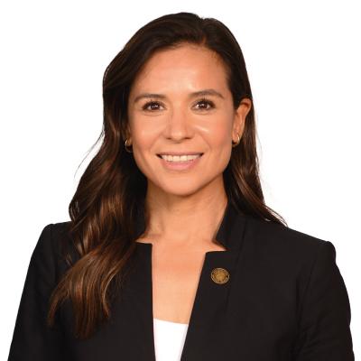 Partido Verde Ecologista de México